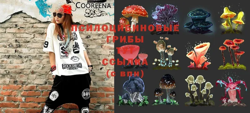 МЕГА зеркало  Ивдель  Галлюциногенные грибы Magic Shrooms 